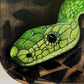 Snake Bag - hand-painted