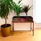 Mid Century Metal Plant Stand / Drinks Bar